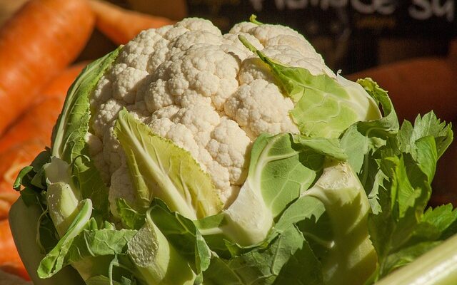 Hvor kan du købe frø til yellowstone gulerødder i danmark?