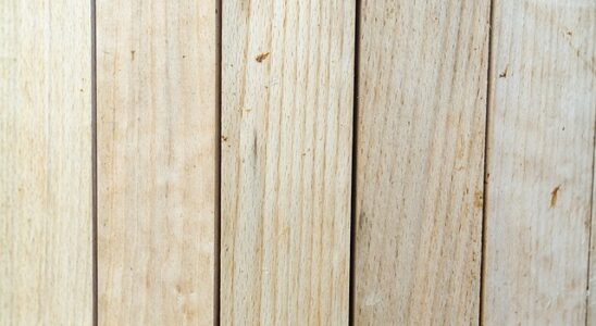 Citronpresser vs. manuel saftpresser: Hvad er bedst?