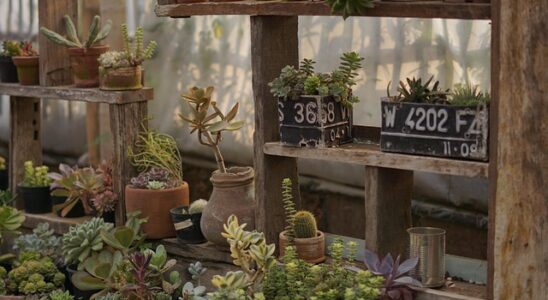 Black friday: Sådan undgår du de største faldgruber