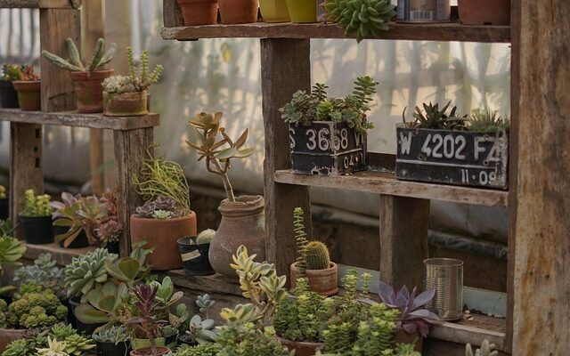 Black friday: Sådan undgår du de største faldgruber