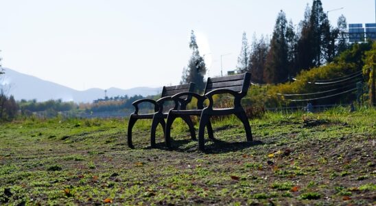 Sammenligning af asbesttag priser: 2026 kontra tidligere år