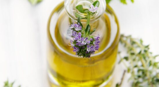 Kejserbuskens essentielle olie og dens anvendelser i aromaterapi